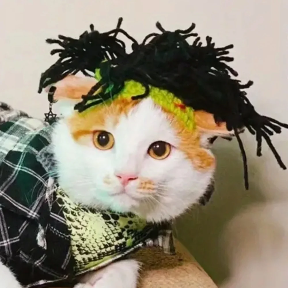 Costume Reggae Punk Rock Crochet Wig Hat for Small Pet Dog Cat (M)